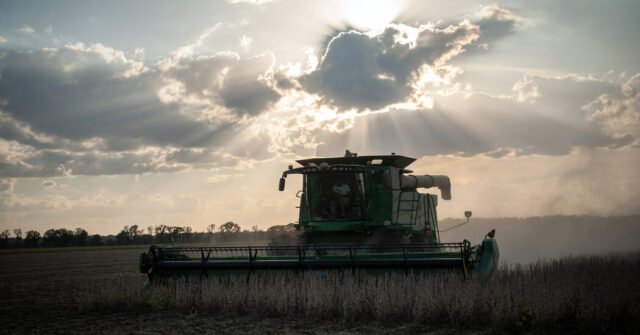 A medida que avanzan los aranceles de Trump, los costosos ojos de los ojos de la Casa Blanca rescates de los agricultores

