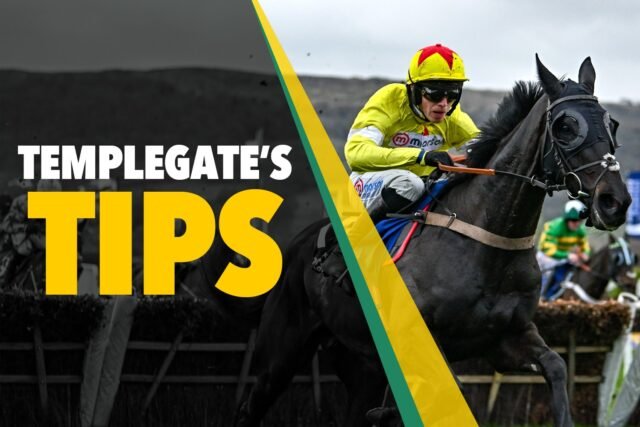 Consejos de carreras de caballos: 'Mostró un ritmo abrasador' - Sap de Templegate's Monday
