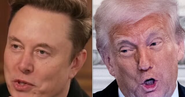 Elon Musk incendió después de un reclamo increíble sobre Trump
