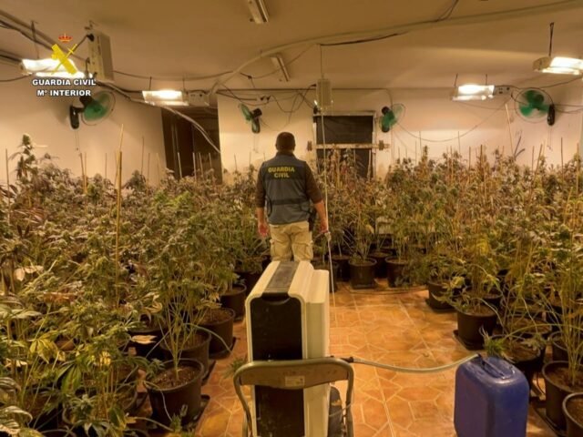 Guardia civil de Alicante Desmantula el cultivo de marihuana y la pandilla de narcotráfico
