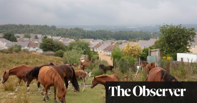 'La gente ha caminado por aquí durante siglos': los ritmos de los valles galeses en las imágenes | Fotografía
