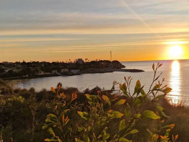Pronóstico del tiempo el jueves 20 de marzo de 2025 - Para Torrevieja, Orihuela Costa y Pilar de la Horadada
