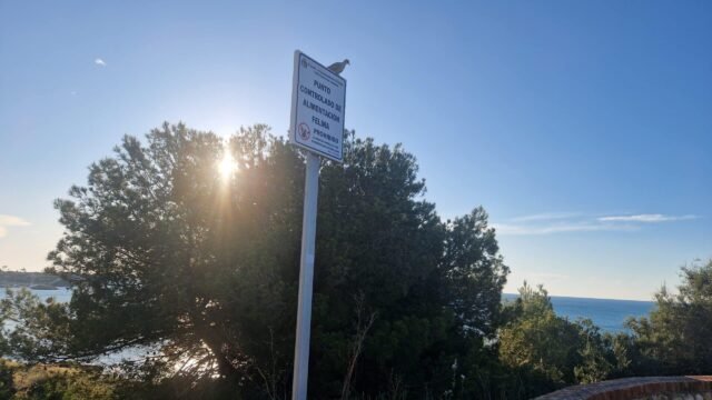 Pronóstico del tiempo el viernes 28 de marzo de 2025 - Para Torrevieja, Orihuela Costa y Pilar de la Horadada
