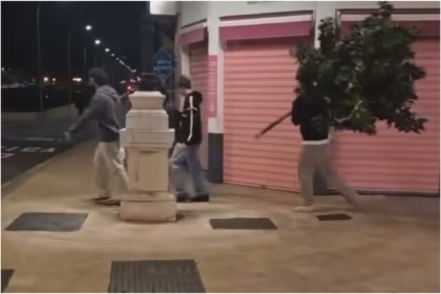 Reloj: Furia local en Málaga después de que se vean 'Guiris borrachos' desarraigando y llevando un árbol 'a través del centro histórico 
