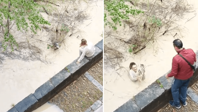 Reloj: Momento viral local en la Andalucia de España salta al agua de inundación para rescatar a un gato
