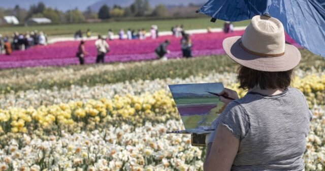 12 cosas que hacer en el área de Seattle este fin de semana
