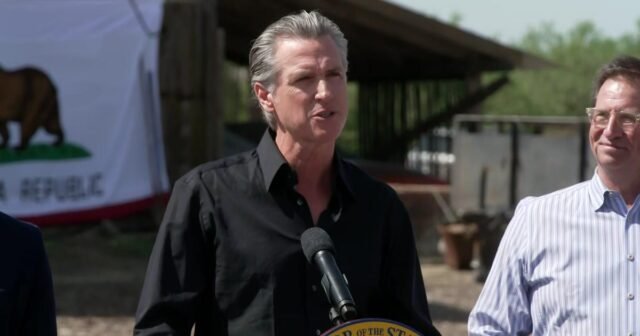 California demandará para evitar que Trump imponga aranceles radicales: "Ningún otro estado se verá más afectado"
