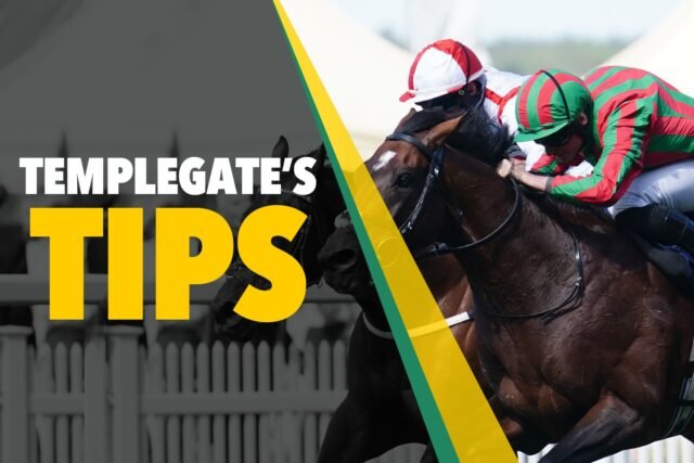 Consejos de carreras de caballos: 'Sprinting es su juego' - La siesta de Templegate puede golpear en Ascot
