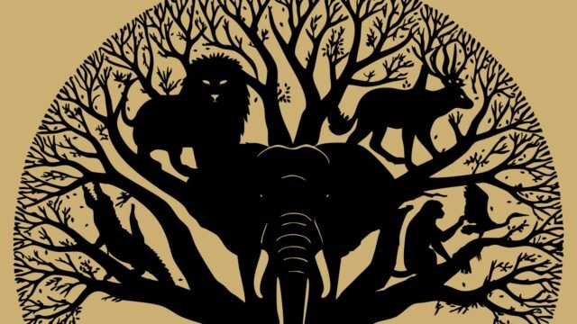 El animal que salta primero en esta ilusión óptica salvaje revela mucho sobre su verdadera personalidad

