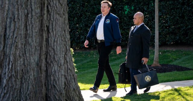 Elon Musk llama a Peter Navarro un 'imbécil' en una pelea de tarifas intensas
