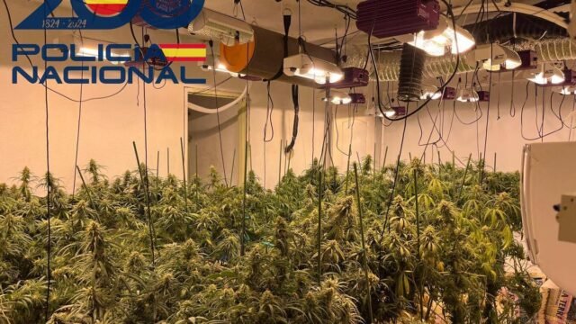 La policía se mantuvo ocupada con dos grandes bustos de drogas en el Sevilla de España
