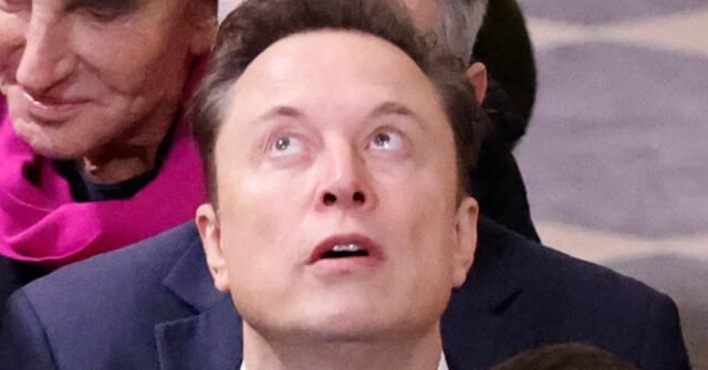 La sesión de juego de Elon Musk interrumpida por Cyberbullies
