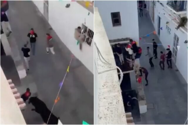 RELOJ: El corredor es elevado al hospital después de que un toro de media tonelada lo arroja al aire en el Cádiz de España
