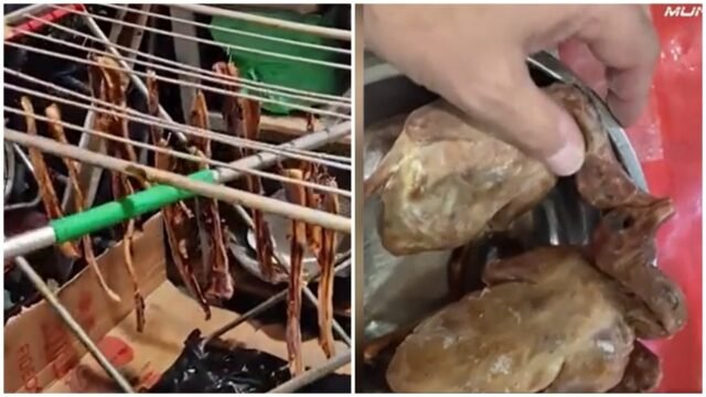 RELOJ: La inspección spot en España encuentra el 'pato asado' del restaurante chino es de hecho paloma, entre otros horrores
