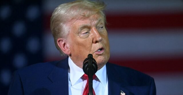 Trump descarta las encuestas 'falsas' que muestran su índice de aprobación en mínimos récord
