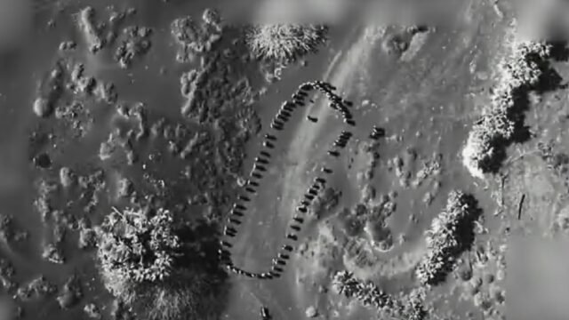 Trump se jacta de 'oops, no habrá ataque' después de las bombas de las bombas houthi Terror Soldiers 'preparándose para luchar' en huelga de drones

