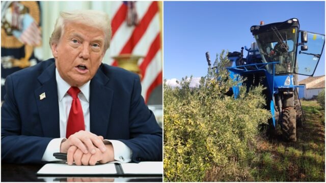 Vino, aceitunas y aeroespaciales: las tarifas de Trump podrían costar la Andalucia de España € € 2,4 mil millones, ¿qué sectores están amenazados?
