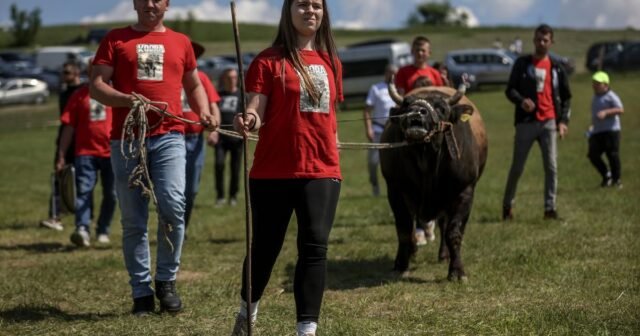 AP Photos: Un entusiasta de las huellas de toros adolescentes celebra victorias en Bosnia
