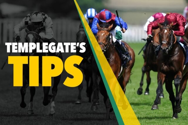 Consejos de carreras de caballos: 'El montón de ritmo será ideal' - Sapplegate's 7-1 Sap en Ascot para conexiones muy poderosas
