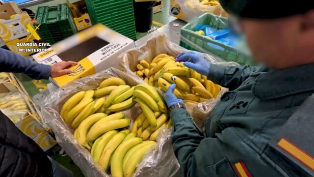 El almacén de frutas podría recibir una multa de 3 millones de euros a través de una estafa de plátano masivo en España

