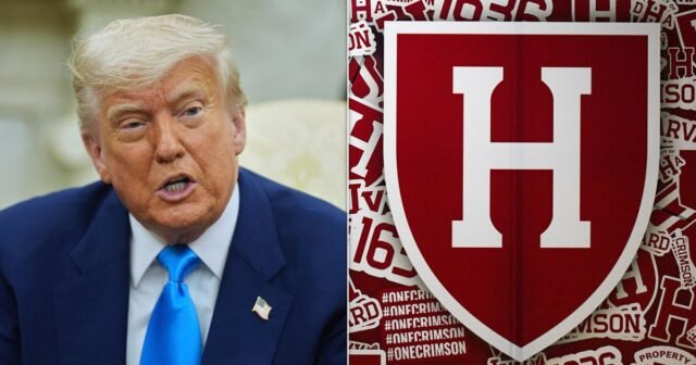 El juez federal impide que la administración Trump provoque la inscripción de estudiantes extranjeros en Harvard
