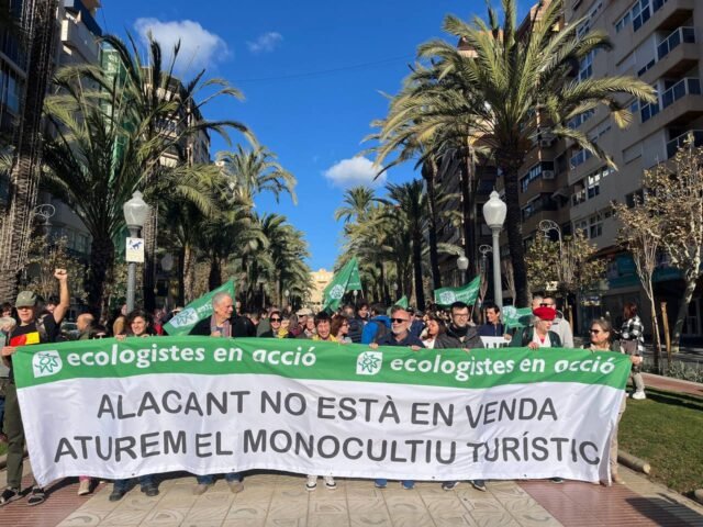 El plan de Alicante para verificar que los pisos turísticos son legales y mantener todas las multas se retrasan
