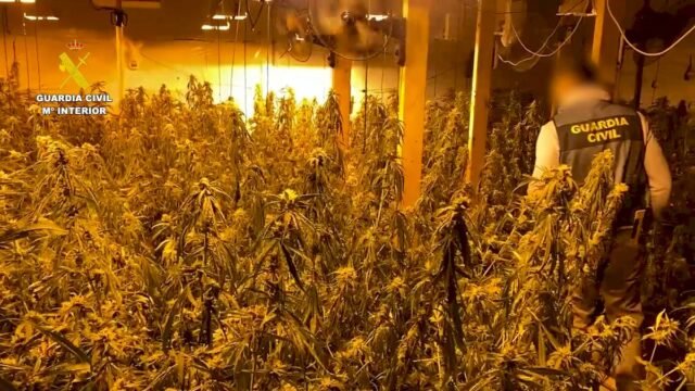 Expatriado británico arrestado por ejecutar una granja de marihuana interior "sofisticada" en Costa Blanca
