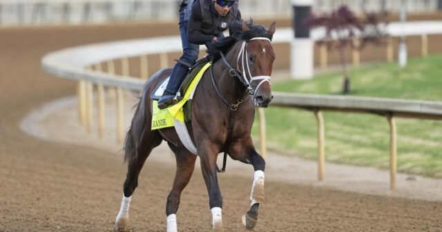 Grande capacitado de Todd Pletcher se rascó de Kentucky Derby
