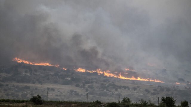 Israel golpeó con incendios forestales (videos) 'más grandes' - RT World News
