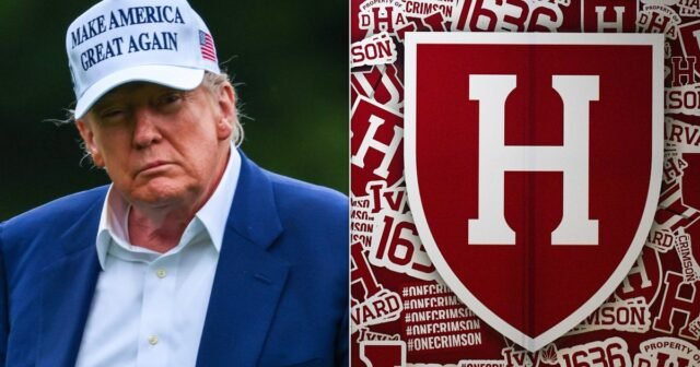 Trump acaba de lanzar una nueva amenaza contra Harvard en medio de una lucha legal creciente
