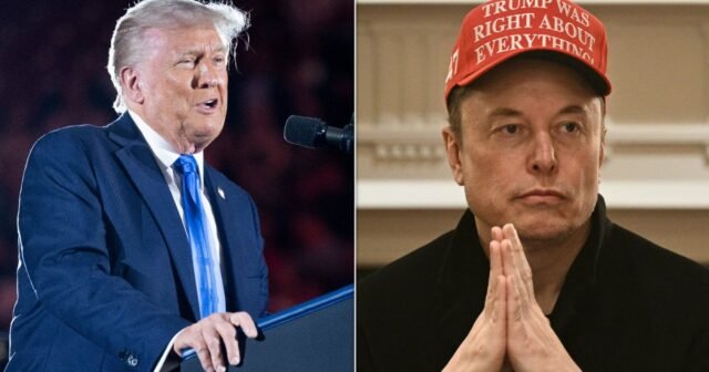 Trump se jacta de que Elon Musk y otros gigantes tecnológicos se están 'besando el culo' después de odiarlo
