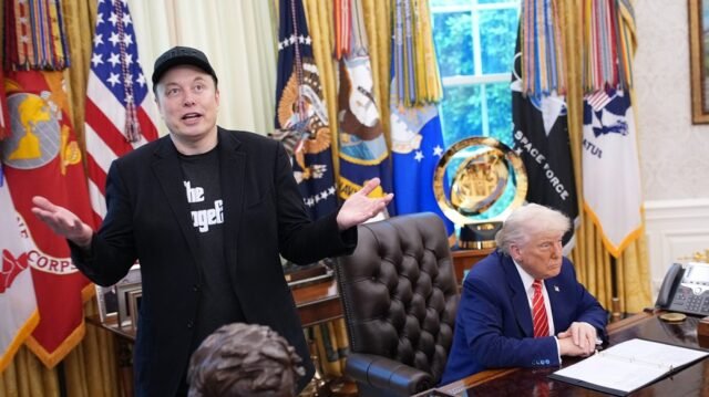 5 ganadores de la ruptura del musgo Trump
