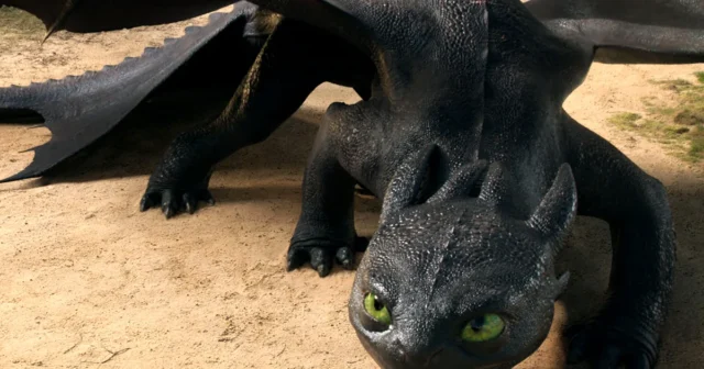 Cómo entrenar tu revisión de Dragon - nunca del todo ...
