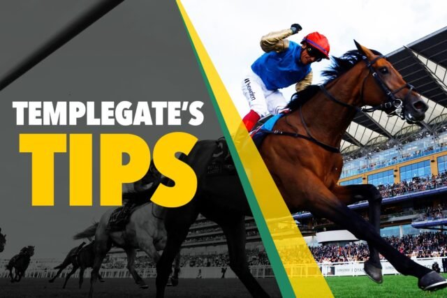 Consejos de carreras de caballos: "No se la atrapa rápidamente por la puerta" - Sapplegate's 7-2 NAP

