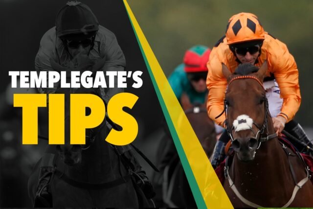 Consejos de carreras de caballos: 'Papcó el ojo en el debut' - Templegate's Sap, preparada para golpear con estilo
