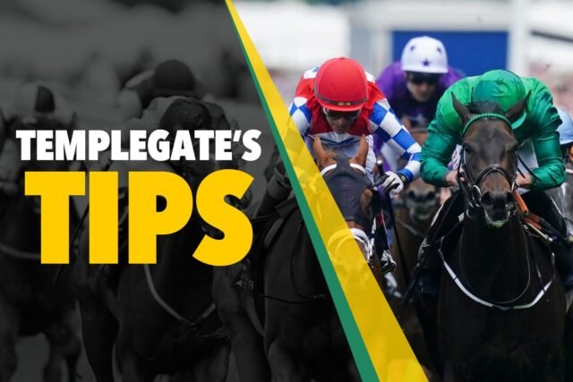 Consejos de carreras de caballos: 'Su forma sigue apilando' - Sap Templegate preparada para atacar las astutas conexiones
