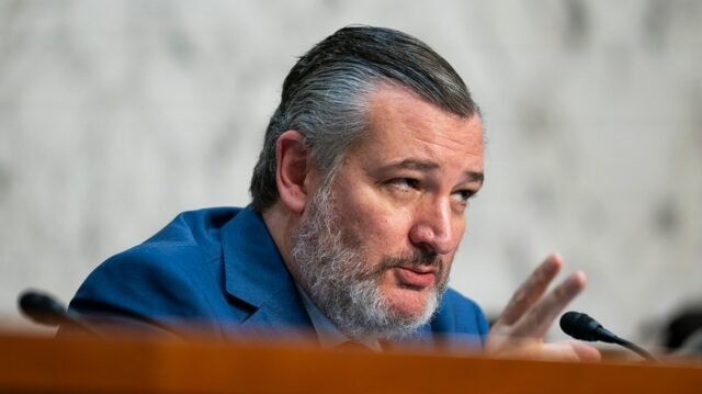 Cruz llama a Trump, Musk Rift "increíblemente desafortunado"
