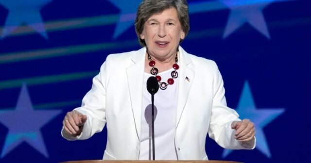 Dos grandes líderes sindicales dejan a DNC por desacuerdos
