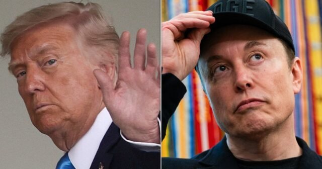 El historiador político interviene en la disputa pública de Trump y Musk

