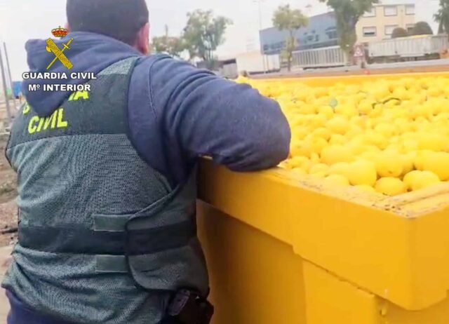"El limón caliente se vuelve agrio: el fraude orgánico deja un regusto amargado"
