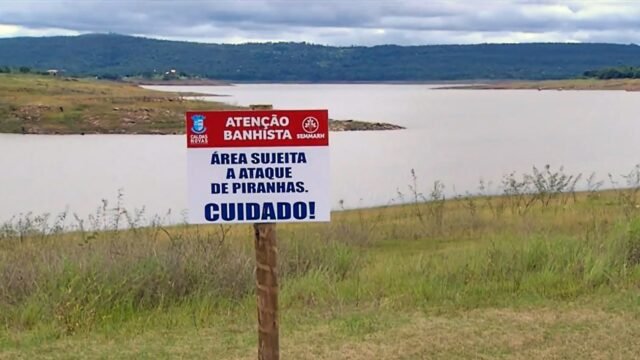 Girl, de 9 años, atacada por Piranhas que come carne mientras remaba en el pintoresco lago con mamá mientras peces feroces rojas a través de los huesos
