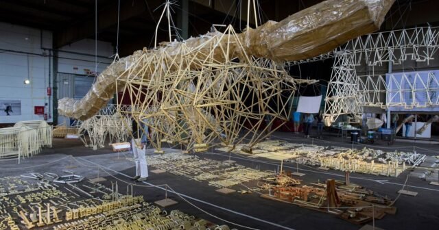 Las bestias de la playa holandesa encuentran un lugar de descanso final en una nueva exposición
