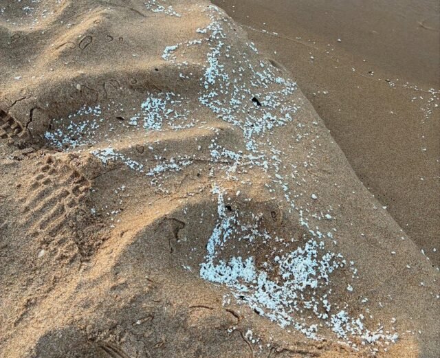 Las playas de Valencia se ponen 'claras' después de que los gránulos misteriosos se confirman como no tóxicos
