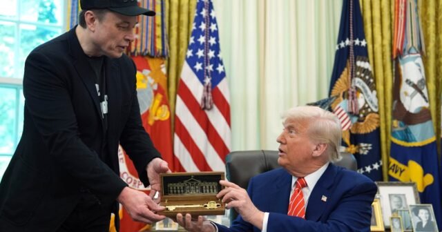 Línea de tiempo: cómo la relación de Trump y Musk se ha desarrollado a lo largo de los años, desde la disputa hasta la alianza, y de regreso nuevamente
