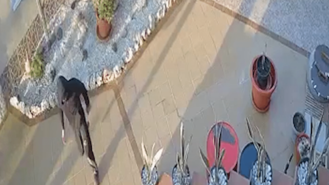 Los intrusos enmascarados aterrorizan a la mujer en el violento robo de San Fulgencio
