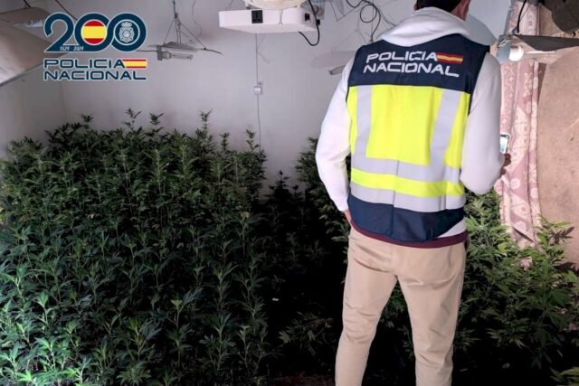 Los ocupantes ilegales se instalaron la granja de marihuana con el resistente a los vecinos de robo en Costa Blanca

