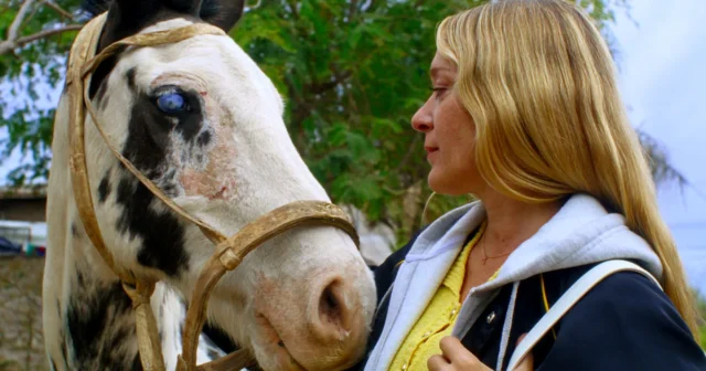Magic Farm Review: Amalia Ulman tiene mucho ...
