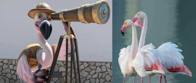 Paraíso de flamencos de España: Descubra el arte y la naturaleza de Fuente de Piedra en Málaga
