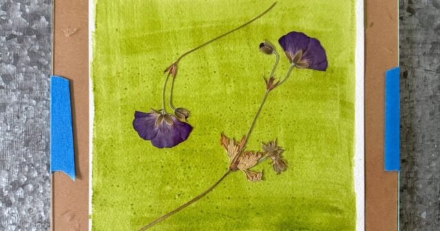 Pintar con el sol, espinacas para crear un jardín de antotipos
