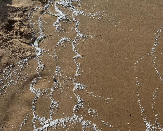 Siete playas permanecen cerradas por un segundo día debido a los temores de contaminación en Valencia
